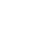 Autograph Collection